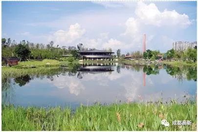 太美！空中连廊、街角绿地……成都高新串起269公里风景线