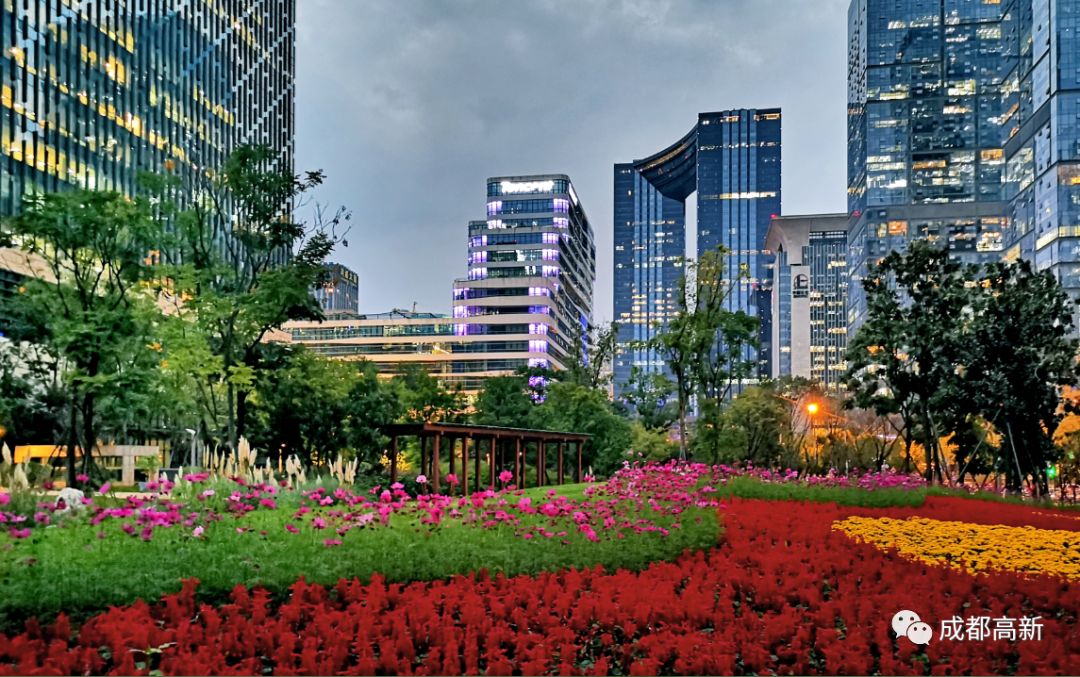太美！空中连廊、街角绿地……成都高新串起269公里风景线