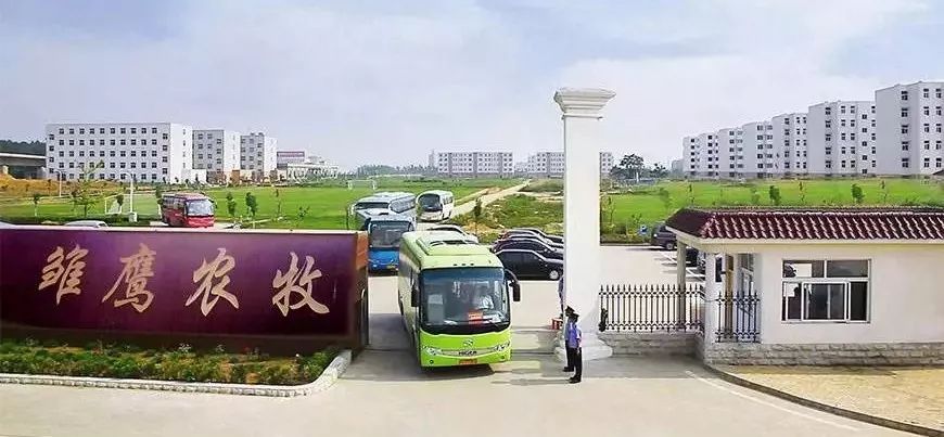 温氏、牧原、圣农、西王……上市农企2018年过得怎么样？