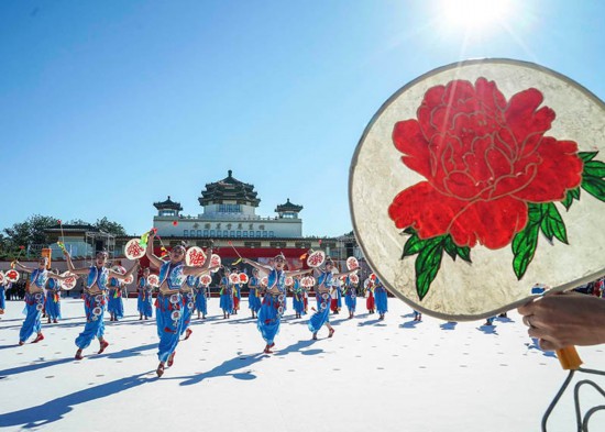 农业农村三农信息,三农新亮点与乡村振兴有关