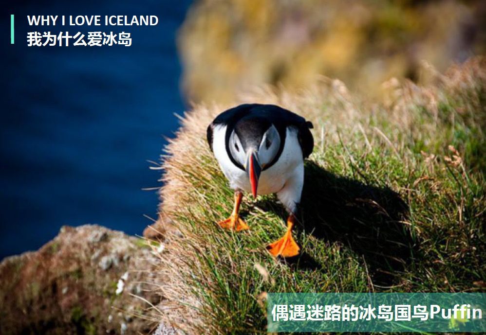 冰岛追逐极光之旅,冰岛追寻极光之旅