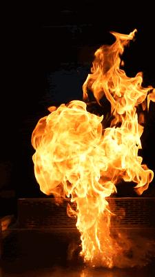 小岛川菜馆哪家好吃,小岛川菜