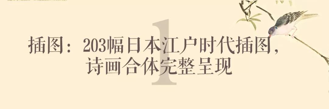 一份来自2021年的新年祝福,一份真挚的新年祝福