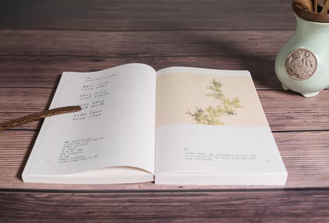 一份来自2021年的新年祝福,一份真挚的新年祝福