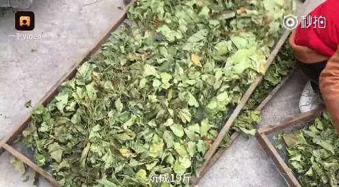 不可思议的新疆手工艺品,农村不可思议的东西