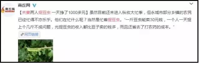 不可思议的新疆手工艺品,农村不可思议的东西