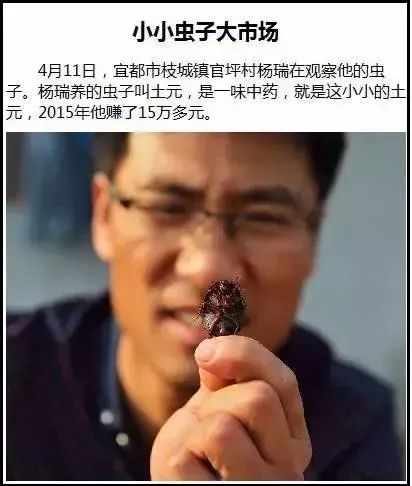 不可思议的新疆手工艺品,农村不可思议的东西