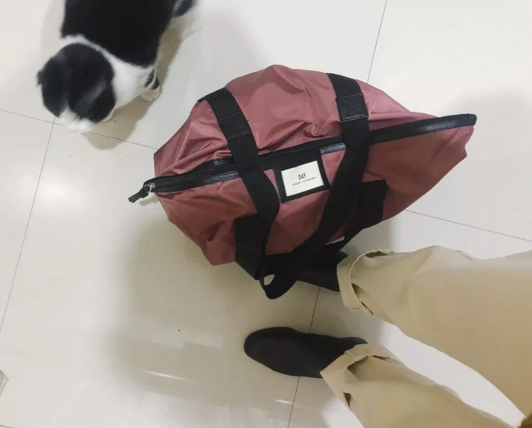 不敢晒支付宝账单？这几件让生活变美的小物，花钱也值！