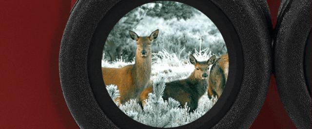 不敢晒支付宝账单？这几件让生活变美的小物，花钱也值！