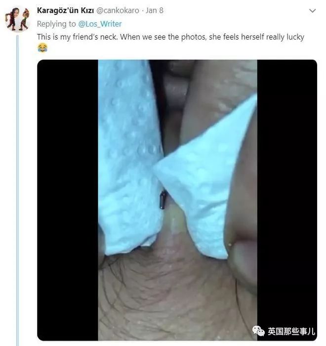 熊孩子拿铅笔扎同学,是不是每个中国小孩都被铅笔扎过