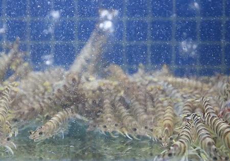 坐拥150㎡私家花园的火锅店，竟然还配空姐服务！