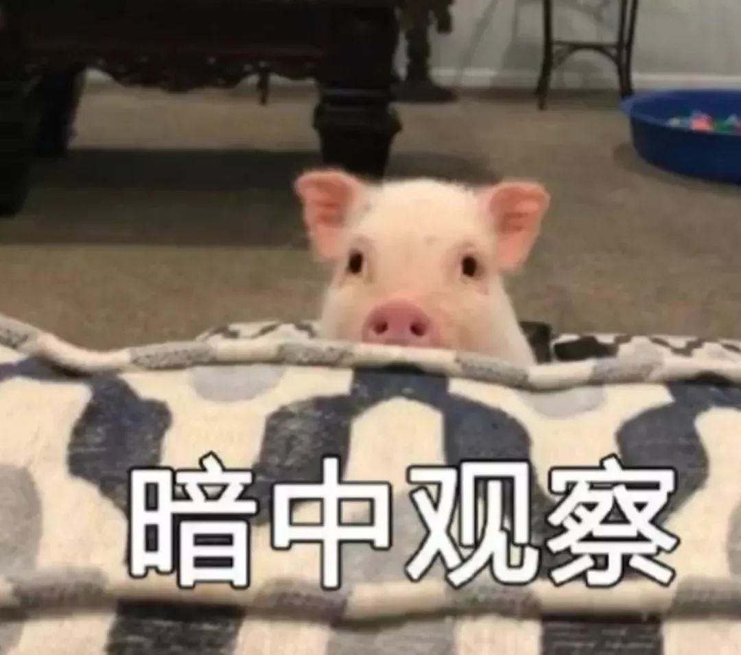 burberry宣传照和鬼片一起对比,burberry春节系列