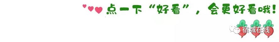 宿城兴福村镇银行,兴福村镇银行招聘条件