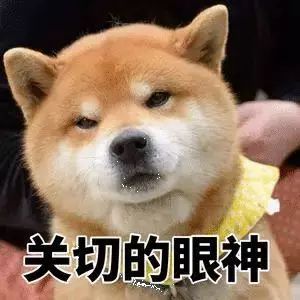 海口最有人气和名气的餐厅,海口令人惊艳餐厅