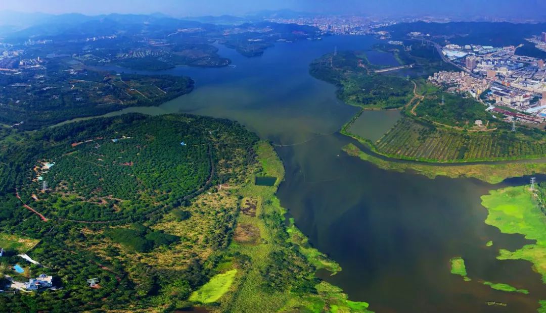 石岩离这里有多远,如今的石岩