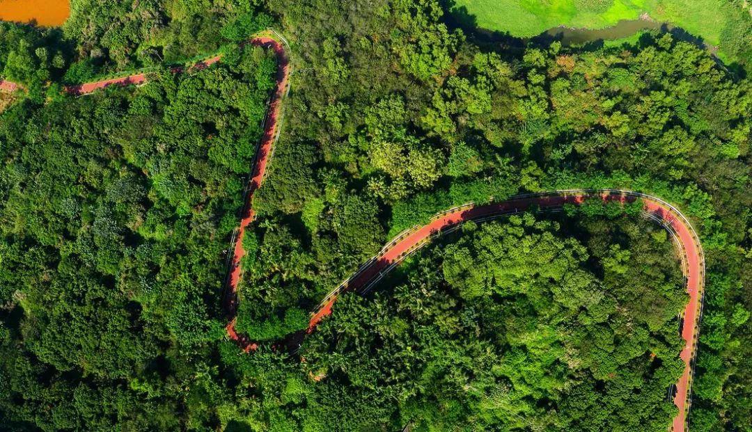 石岩离这里有多远,如今的石岩