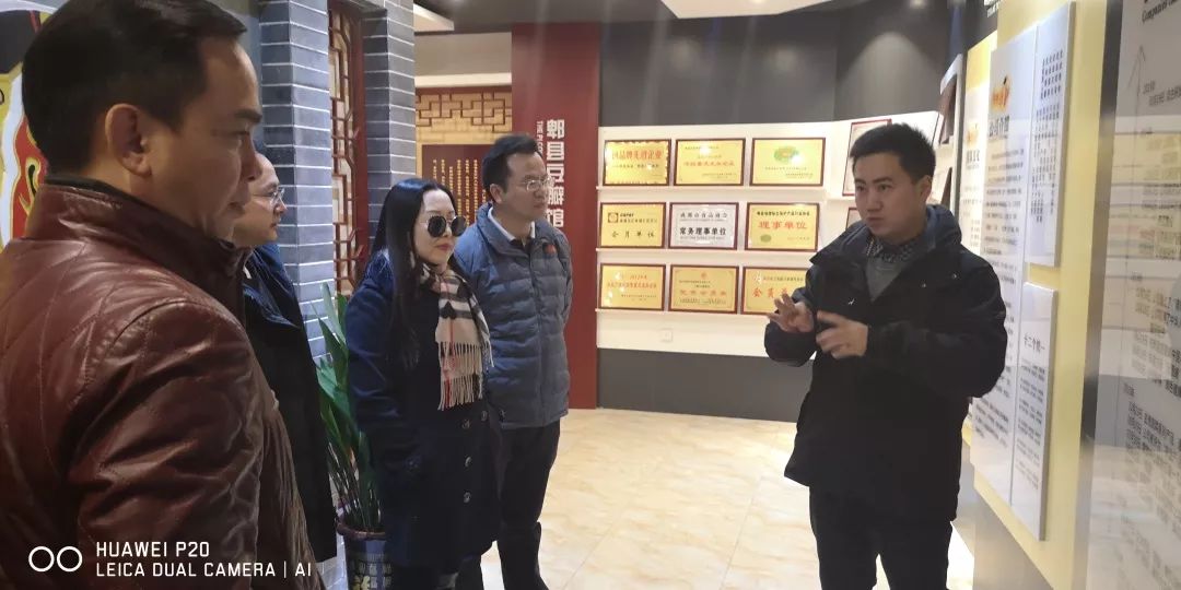 沙溪新区东部新城规划,沙溪村城市更新改造项目