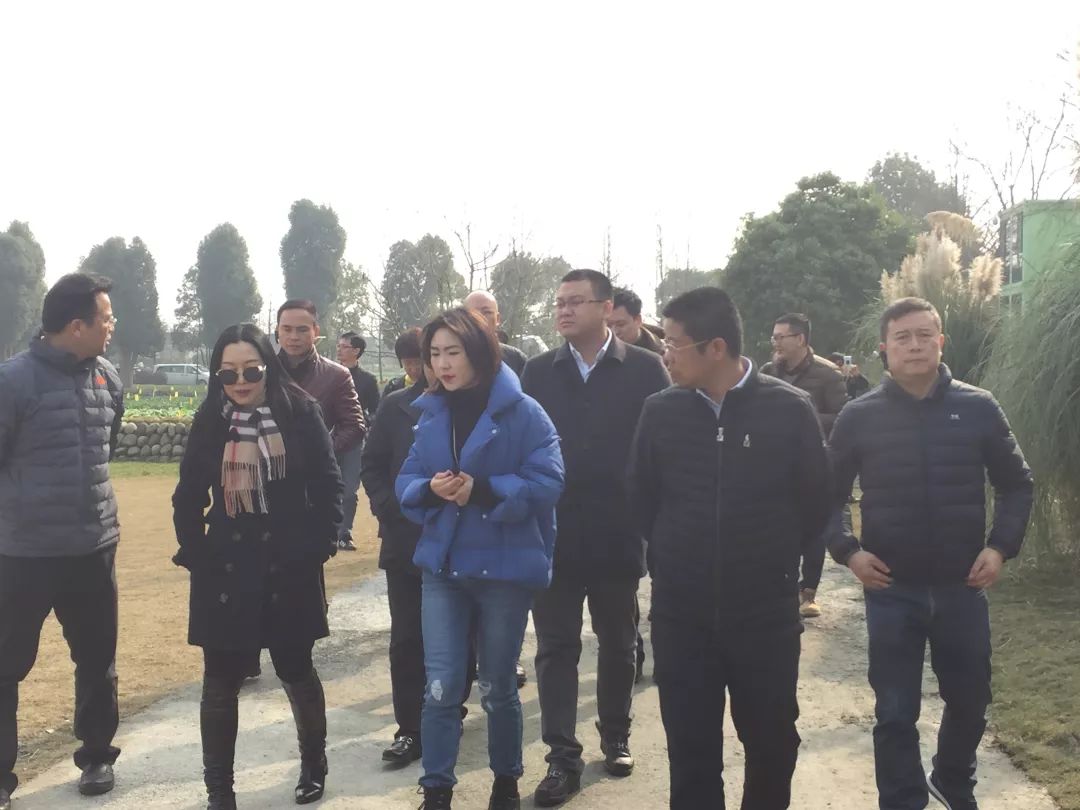 沙溪新区东部新城规划,沙溪村城市更新改造项目