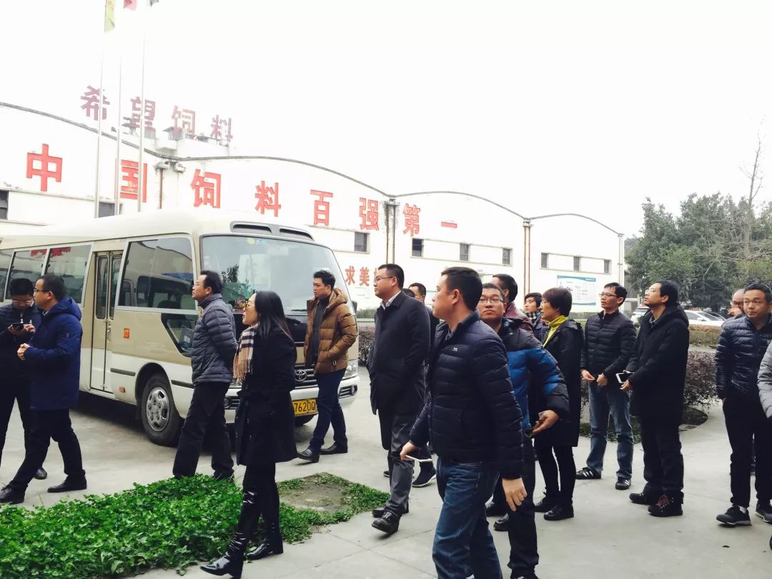 沙溪新区东部新城规划,沙溪村城市更新改造项目