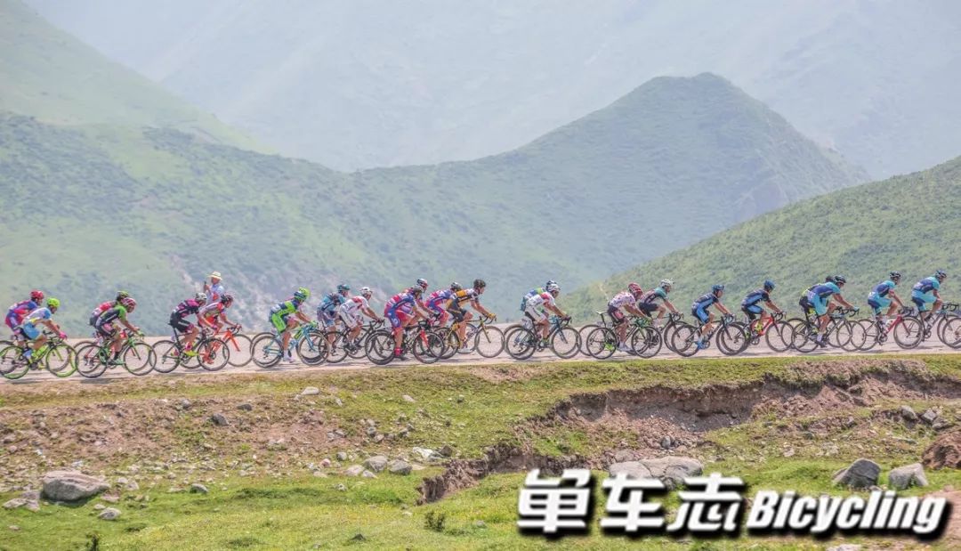 看懂拉力赛视频,看懂公路赛