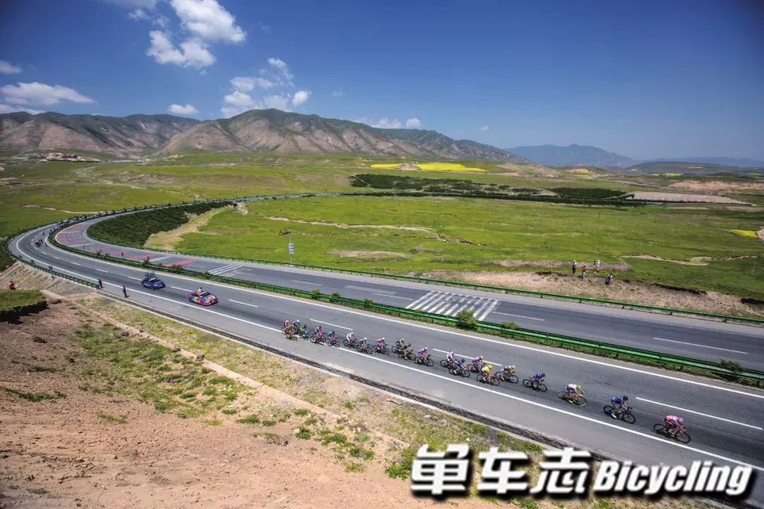 看懂拉力赛视频,看懂公路赛