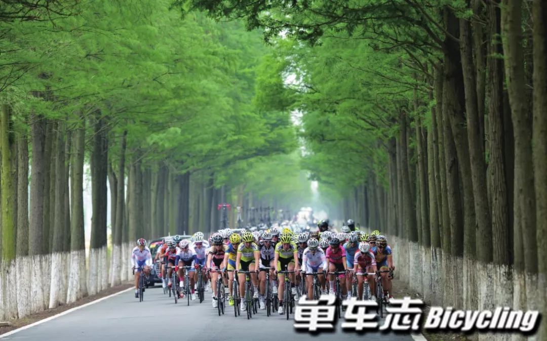 看懂拉力赛视频,看懂公路赛