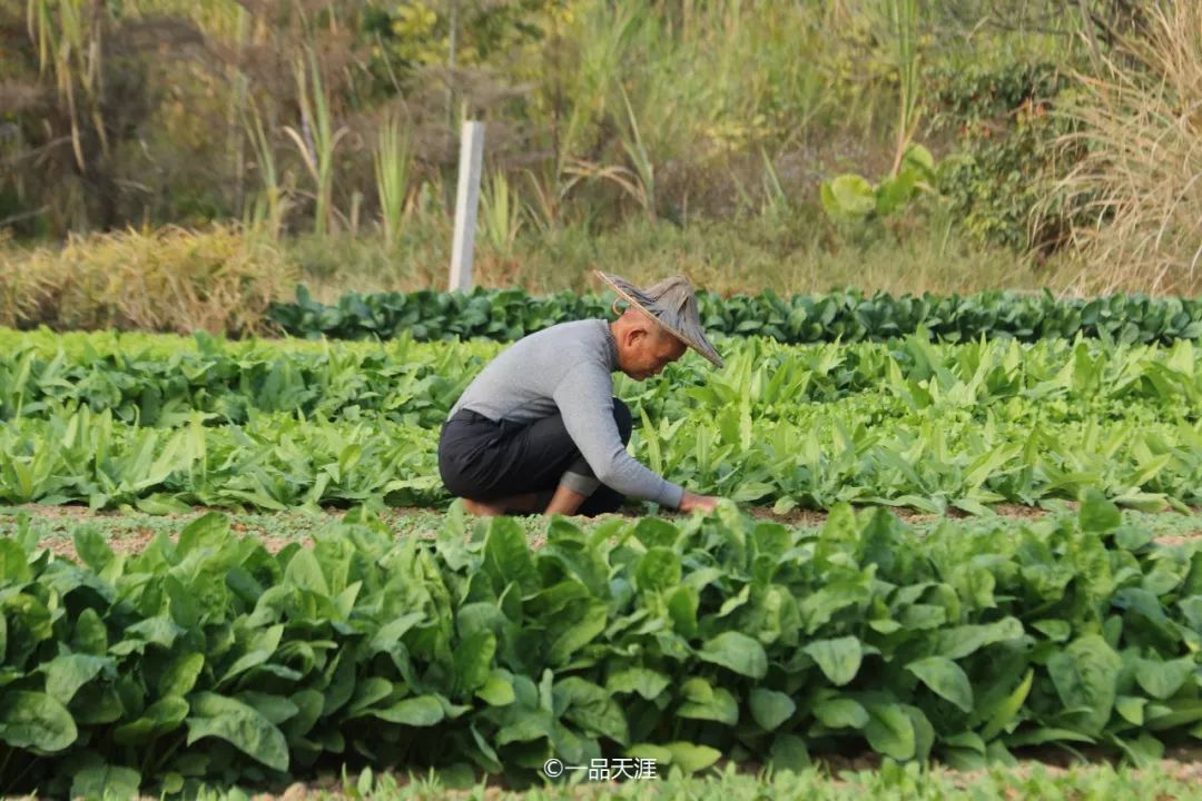 漳州长泰景区推荐,漳州长泰十大免费景点推荐