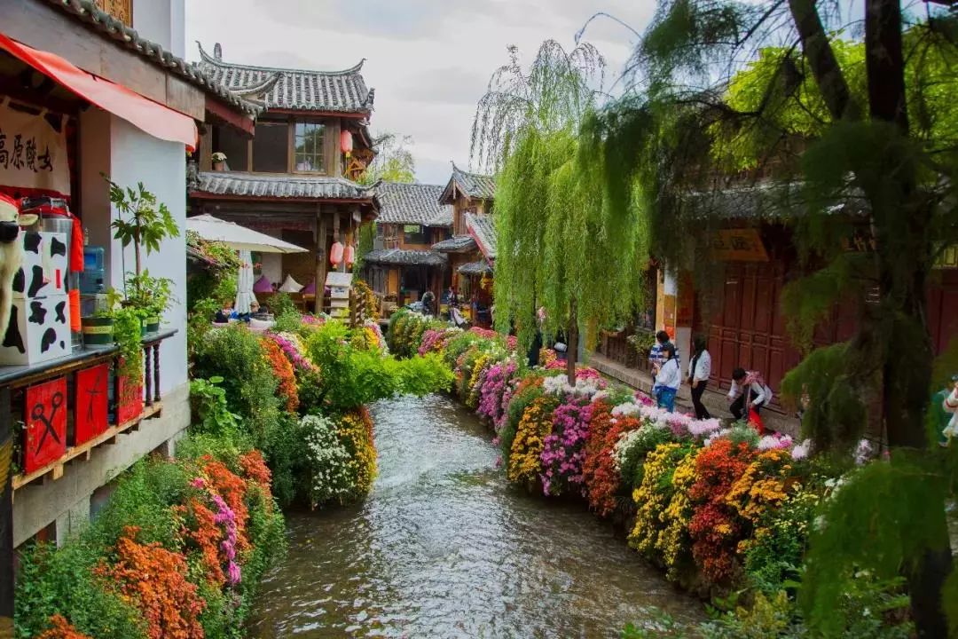 丽江除了鲜花饼还有啥,丽江不踩坑的景点推荐