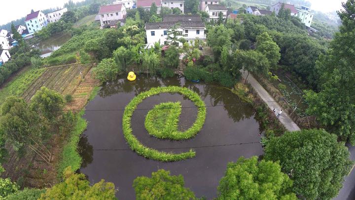 嘉兴治水,嘉兴水质最新消息
