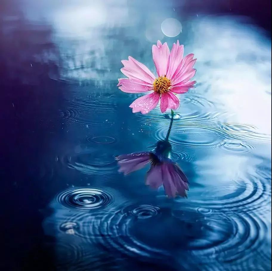 70个超实用的健康小知识人生建议,人民日报健康知识微刊