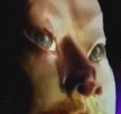 那些年我们一起看过的电视广告,那些年看过的电视广告