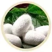 手足脱皮脚后跟干裂修复膏,奇迹第十代