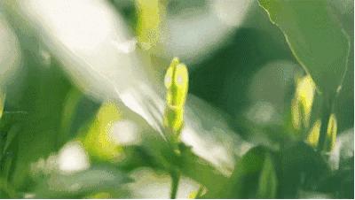 这里是里山！（内含福利）