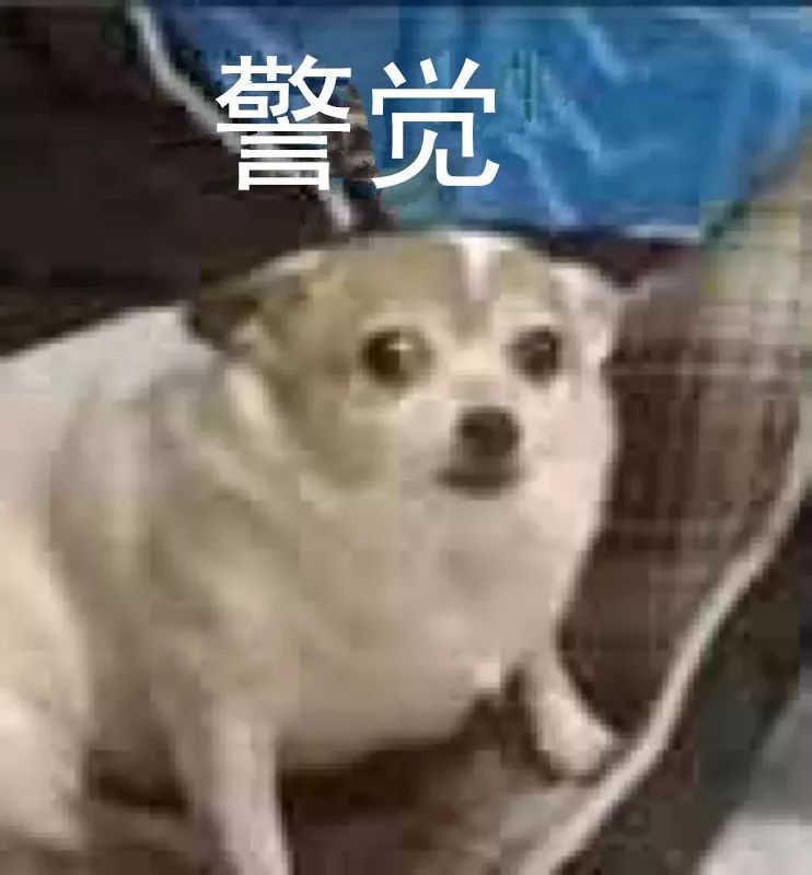 小孩被吓到头上点红点怎么回事,儿童头顶痒拔掉好多头发是什么病