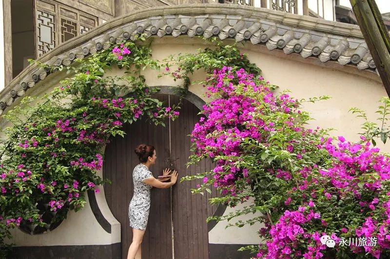 重庆永川朱沱项目,重庆永川航空产业园项目进展