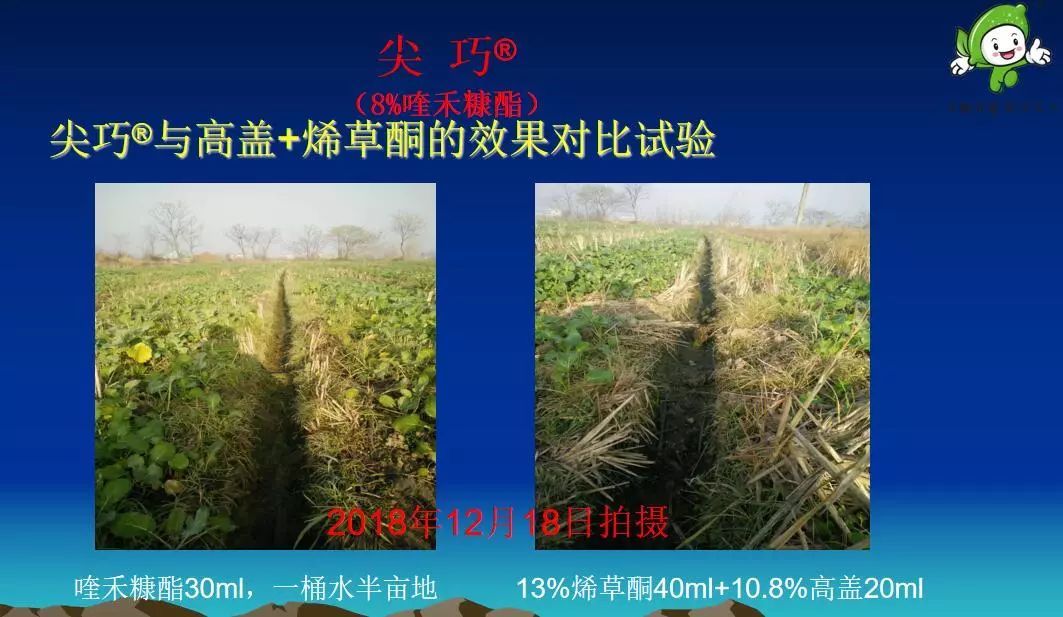 丰收乐助力三农,丰收乐生产车间