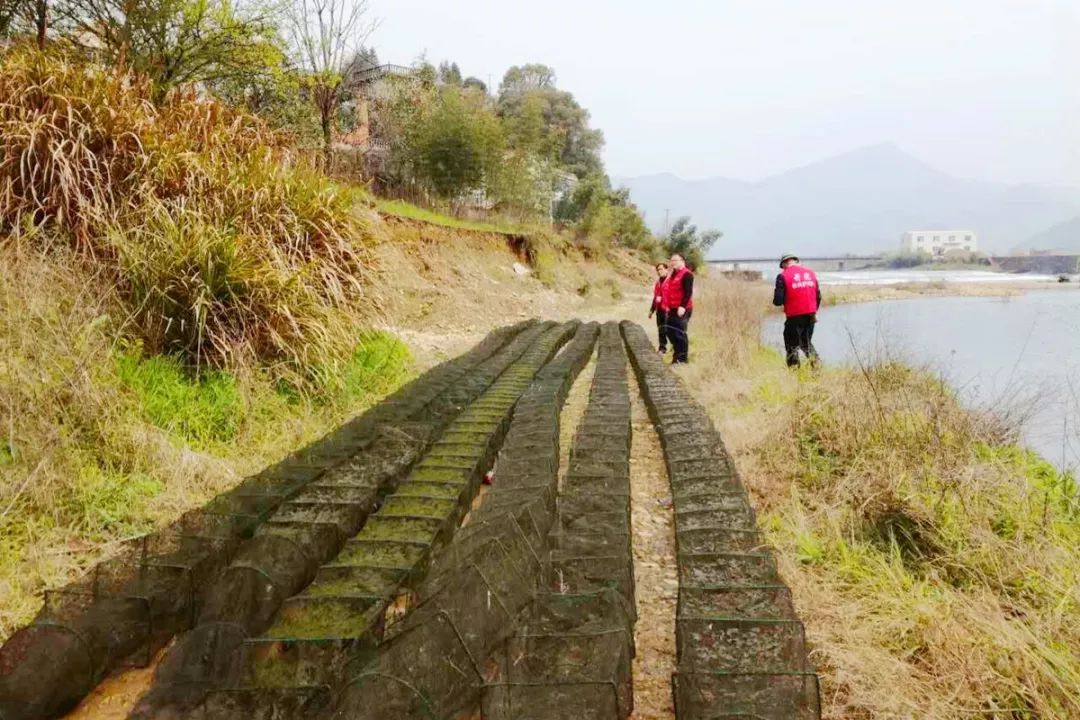 饮用水水源地水质监测简报,开展农村饮用水水质监测