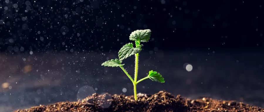 安道麦a收购st辉丰资产,辉丰被安道麦收购