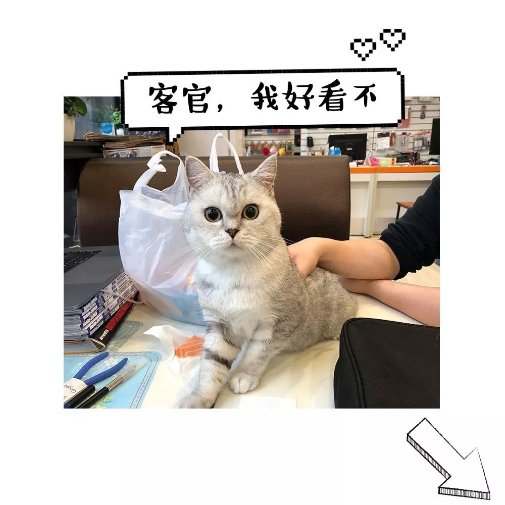 寿屋雕像,美队雕像1:2