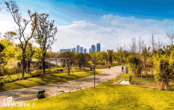 成都天府绿道值不值得期待,体验成都美丽天府绿道