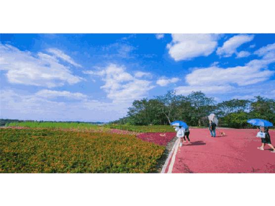 成都天府绿道值不值得期待,体验成都美丽天府绿道