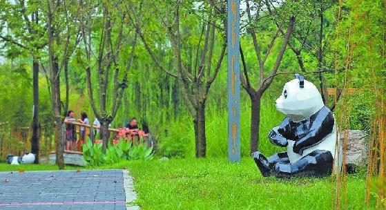 成都天府绿道值不值得期待,体验成都美丽天府绿道