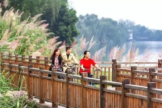 成都天府绿道值不值得期待,体验成都美丽天府绿道