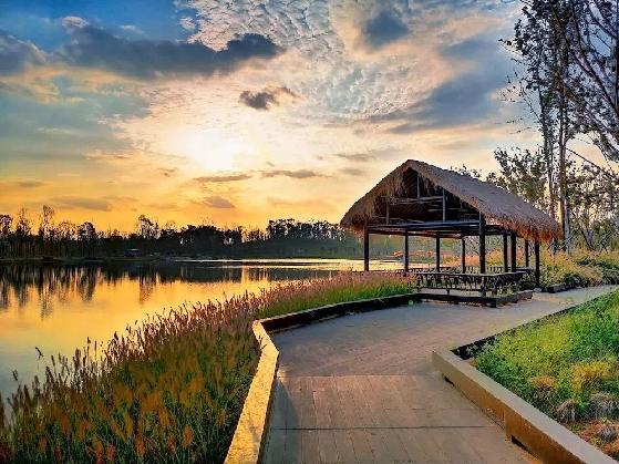 成都天府绿道值不值得期待,体验成都美丽天府绿道