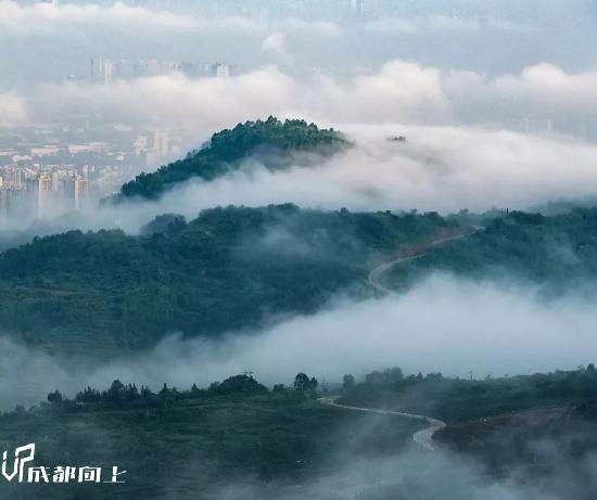 成都天府绿道值不值得期待,体验成都美丽天府绿道