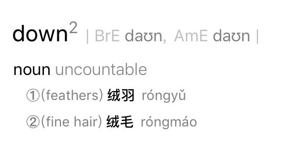 口语｜有一种演员叫做赵丽颖，身穿羽绒服参加发布会，“羽绒服”英文怎么说？