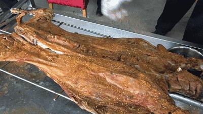 我也想瘦啊！可内蒙古的“食”力它不允许啊……