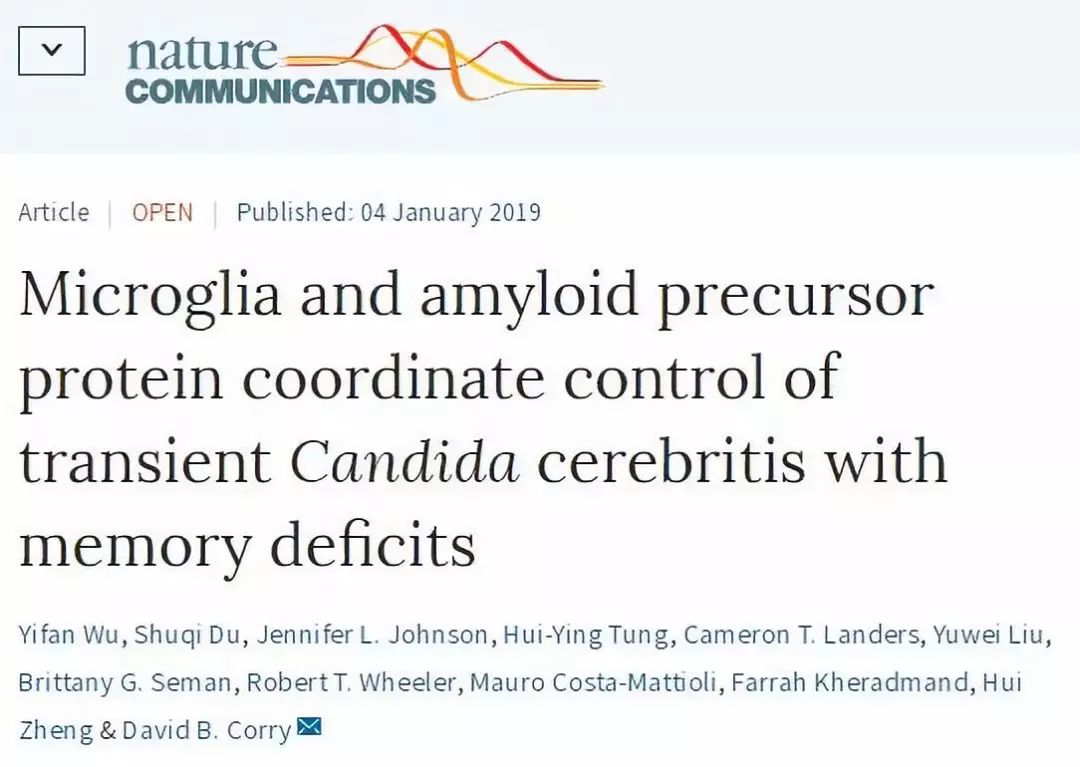 真菌感染会导致哪些疾病,真菌感染会引起癫痫吗