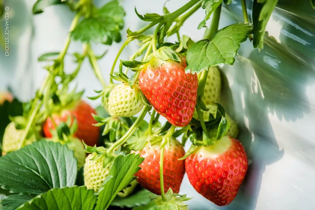 冬季韩国旅行，带你去看韩剧以外的生活！