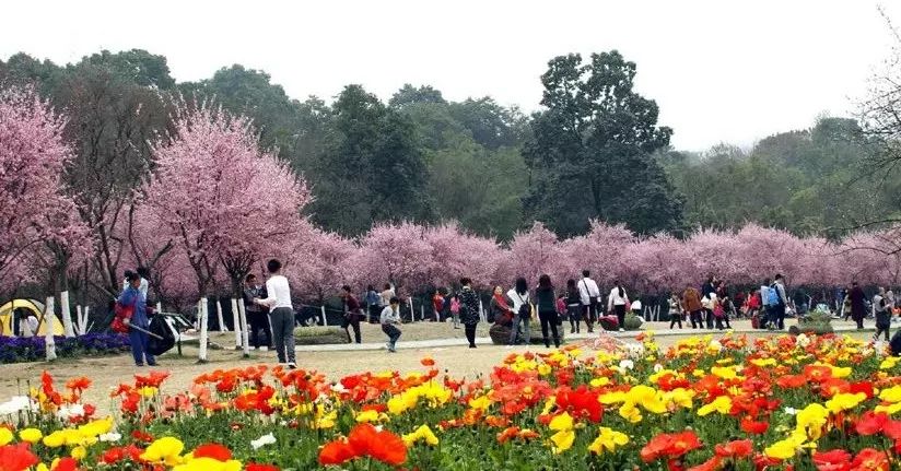 地铁游成都攻略,地铁游成都
